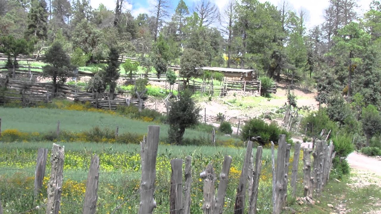 Fotos de la sierra de tepehuanes durango 59 Fotos de la sierra de tepehuanes durango 9