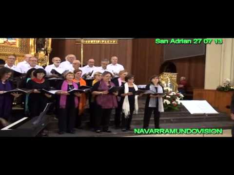 SAN ADRIAN CONCIERTO CON LAS VOCES DE SAN ADRIAN DE BESOS 27 07 13