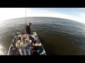 North Cal Sportfishing