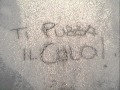Ti Puzza il Culo! REMIX