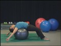 Fun Fitness:  Stability Ball