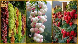 25 Frutas Olvidadas Que Amaban Nuestros Abuelos Y Hoy Casi Nadie Conoce
