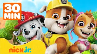 Rubble E Sua Turma Rubble & Marshall Salvam A Floresta E Fazem Resgates C Skye 30 Minutos