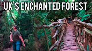 Puzzlewood Forest Of Dean Enchanted Forest In The Uk