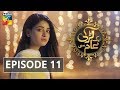 Aik Larki Aam Si Episode #11 HUM TV Drama 3 July 2018