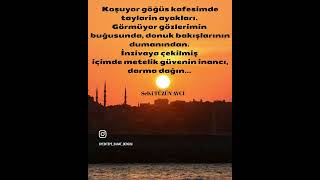Şair Selvi Tüzün Avci Şiiri