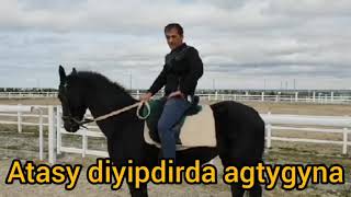 Turkmen Prikol 2019