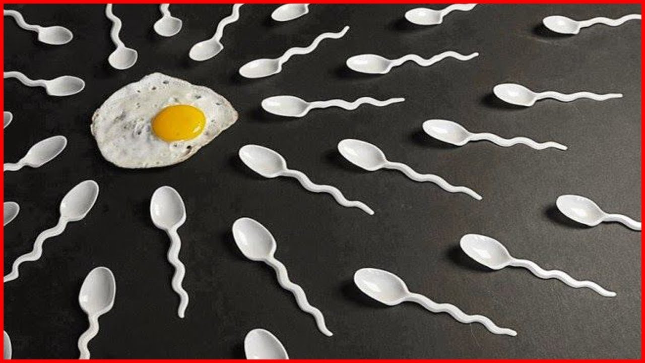 Sperm dies after
