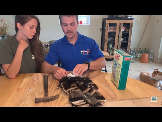 Watch HOW-TO: Mounting a Turkey Fan on YouTube.