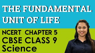 CBSE (NCERT) Class 9 (IX) Biology Chapter 5 Fundamental unit of life
