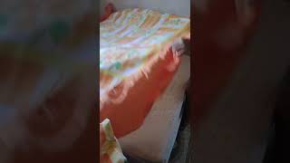 Arrumando A Cama Posta Pro Final Semanaficou Linda