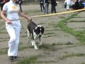 в группу *кинологи Украины*!<br >club15411612<br 