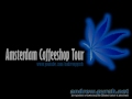 CANNABIS SEED COMPETITION - FREE DUTCH PASSION SEEDS