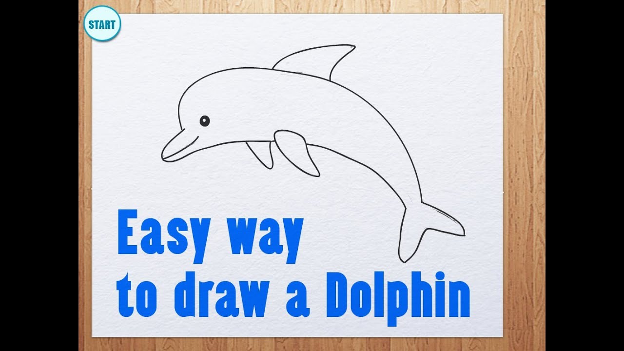 Easy way to draw a Dolphin - YouTube