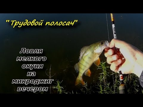 все о ловле окуня и снасти ловли все о ловле окуня и снасти ловли