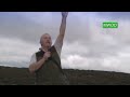 Labrador gun dog training