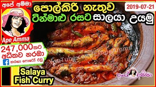 Salaya fish curry by Apé Amma