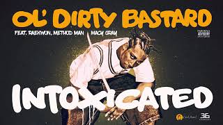 Watch Ol Dirty Bastard Intoxicated video