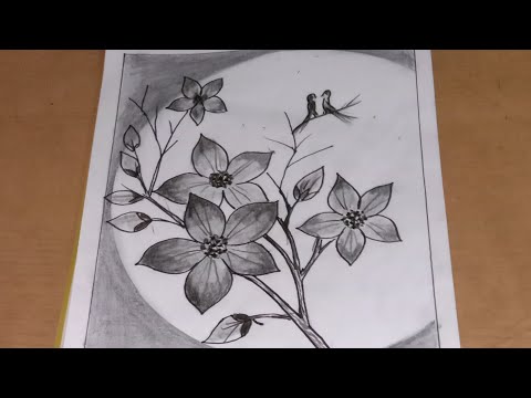 Sketsa Bunga Sakura(RAGAM HIAS FLORA) materi senibudaya