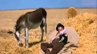 El Mejor Chiste Para Reir Sin Parar El Mejor Chiste Para Reir Sin Parar