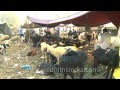 Eid al-Adha, Id-ul-Zuha or Bakr Eid and how it is celebrated