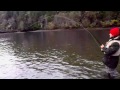 Fly Fishing For Salmon In Squamish BC