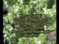 Mrs. Larry KING gets MEDIA day PASS at MJJ trial