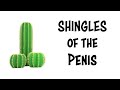 Shingles of the Penis