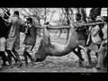 Lion Hunting Massacre