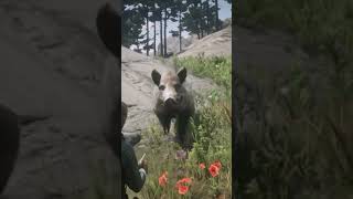 Arthur Kills The Killer Of Hamish Sinclair - Red Dead Redemption 2 Giant Boar
