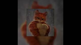 Kitty Phonk Speed Up 1 Hour