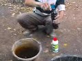 image Fermentasi Pakan Ternak Sapi