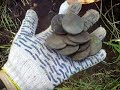 копают клад<br /><br />Видео архив, 