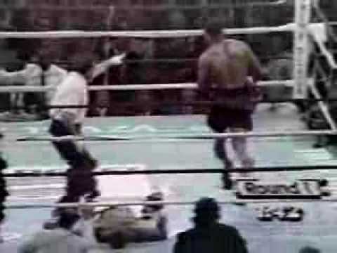 mike tyson knockout pictures. Mike Tyson Knockouts !