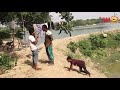Must Watch New Funny😂 😂Comedy Videos 2019 - Episode 39 - Funny Vines || SM TV