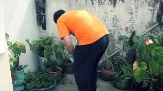 Curta - Oxi