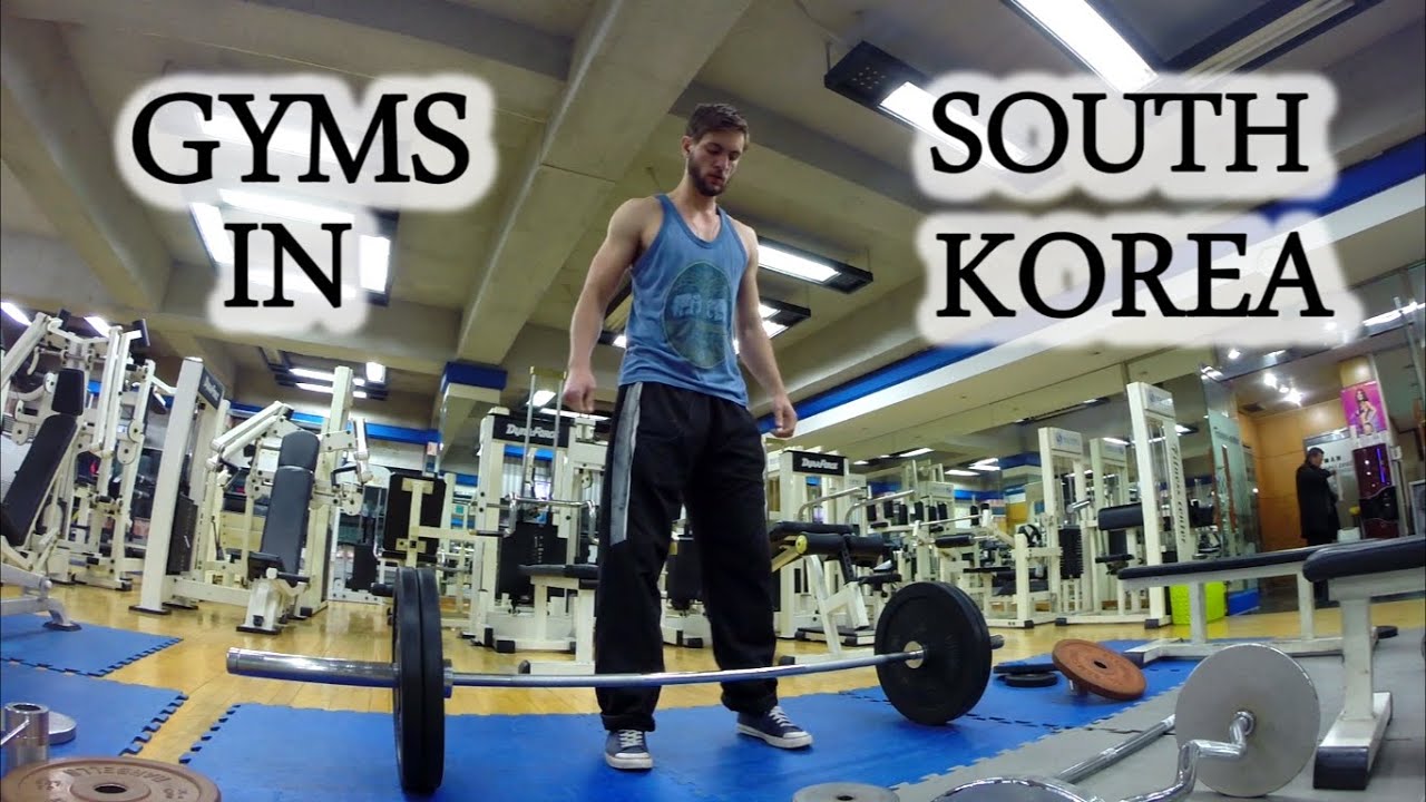 Gyms In Korea Teaching English In Korea YouTube