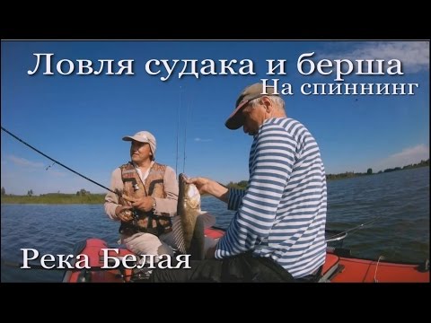 ловля судак в июнь на спиннинг ловля судак в июнь на спиннинг
