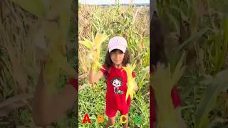 Bal Kız Abc Song - Ribbit & Friends Tiktok Abcd