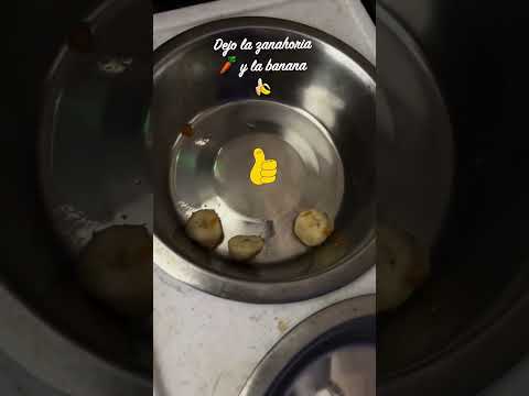 Nueva dieta Barf por la salud de Oreo