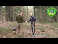 овчарки, общий курс дрессировки, защитно-караульная 