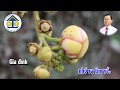 Karaoke: TÌM CHỊ NƠI ĐÂU - Dây Kép - Tác giả: Nguyễn Hữu Nghĩa