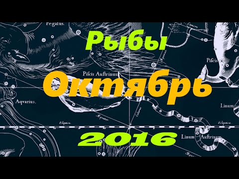 тортик форме гороскоп на 1 октября 2016 года рыбы собака сильным