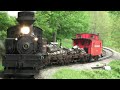 Geared Steam Locomotives in Cass WV