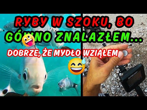 SZUKAM, NURKUJĘ , SIĘ RELAKSUJĘ 😎 #chorwacja #metaldetecting #super SZUKAM, NURKUJĘ , SIĘ RELAKSUJĘ 😎 #chorwacja #metaldetecting #super