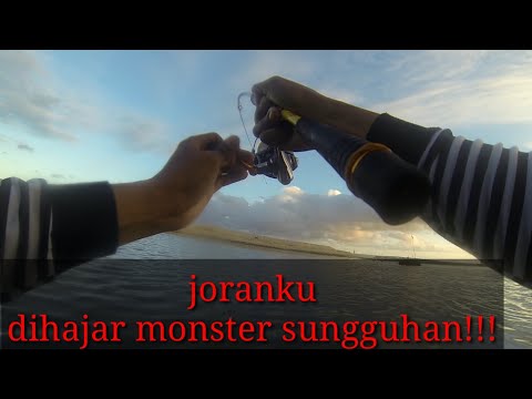 Rod capung melengkung sempurna di tarik monster