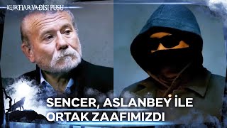 Sencerin Ülkeyi Ateşe Atmasına Mani Olamlıyız Kurtlar Vadisi Pusu 179. Bölüm