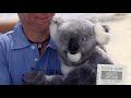 Six Best Jobs In The World, Apply Now (Australia Tourism) - Unravel Travel TV