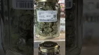 Seattle Wa Dispensary Tour