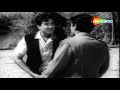 Shola Aur Shabnam (1961) Full Movie | Superhit Hindi Movie | शोला और शबनम | Dharmendra, Tarla Mehta